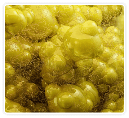 Science behind CitrusBurn